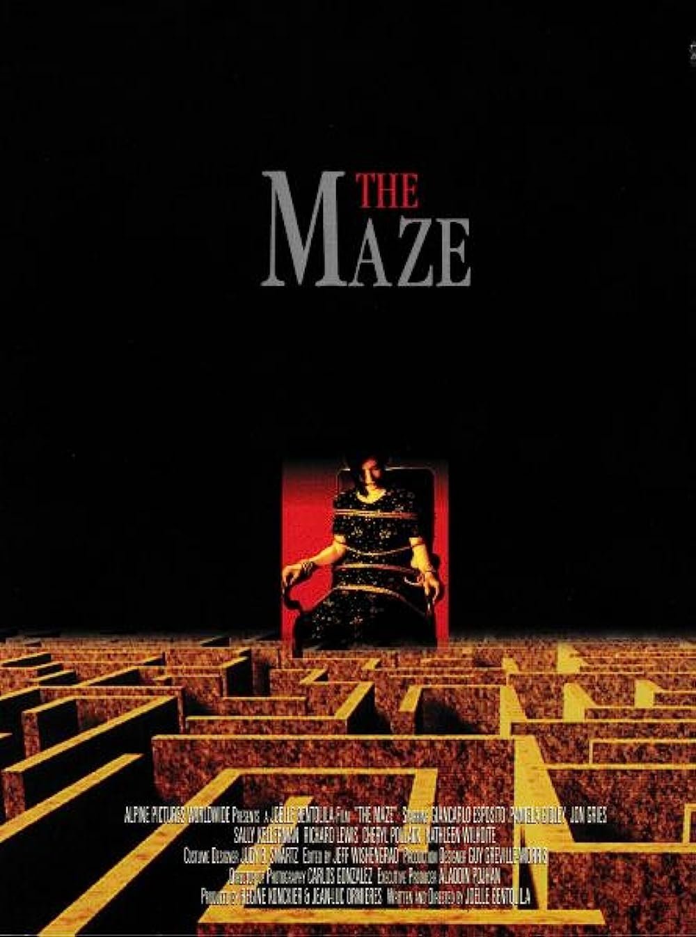 Постер The Maze